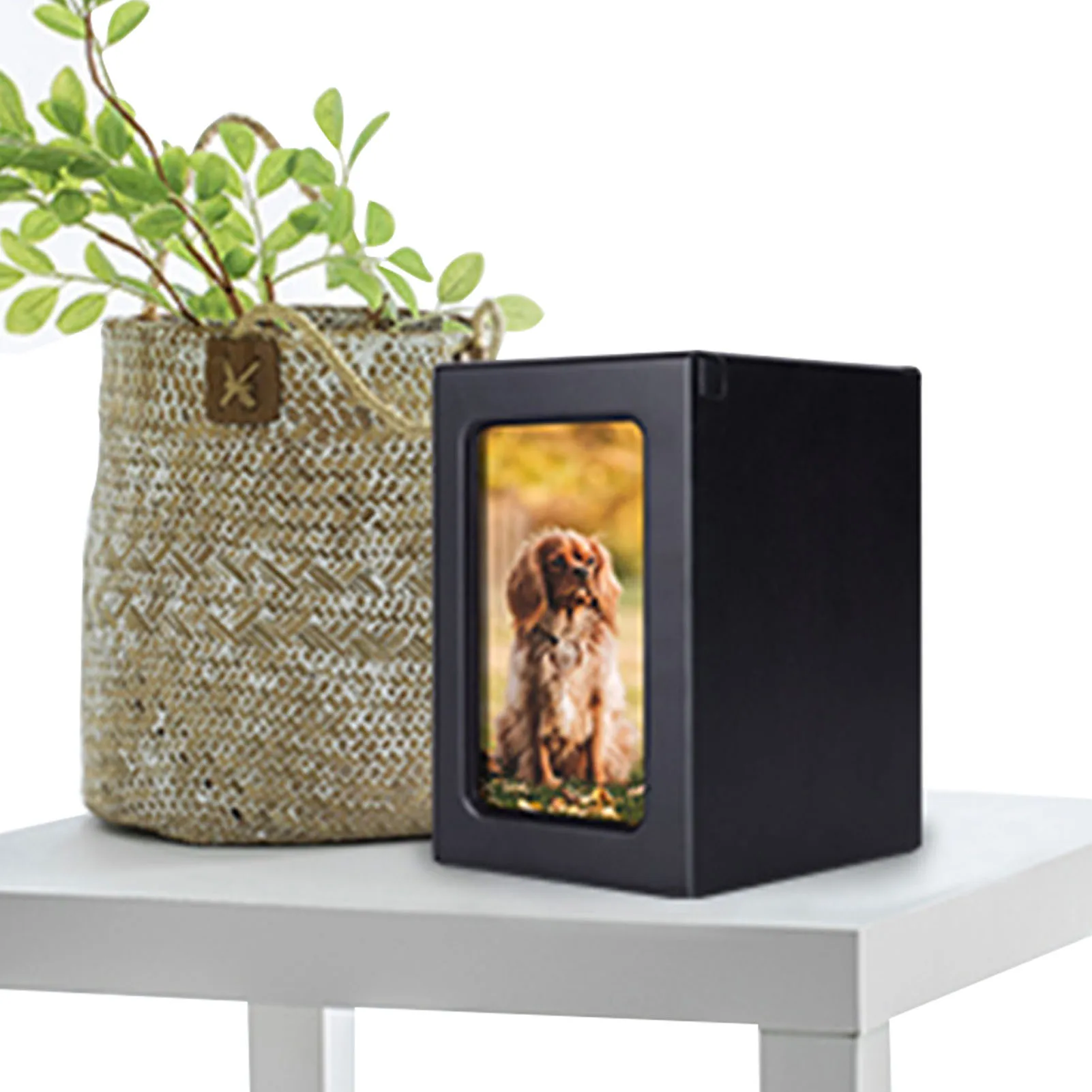 

Dog Urns Wooden Cremation Box With Pet Picture Frame Pet Memorial Box Wooden Urn Keepsake Box For Beloved Pets