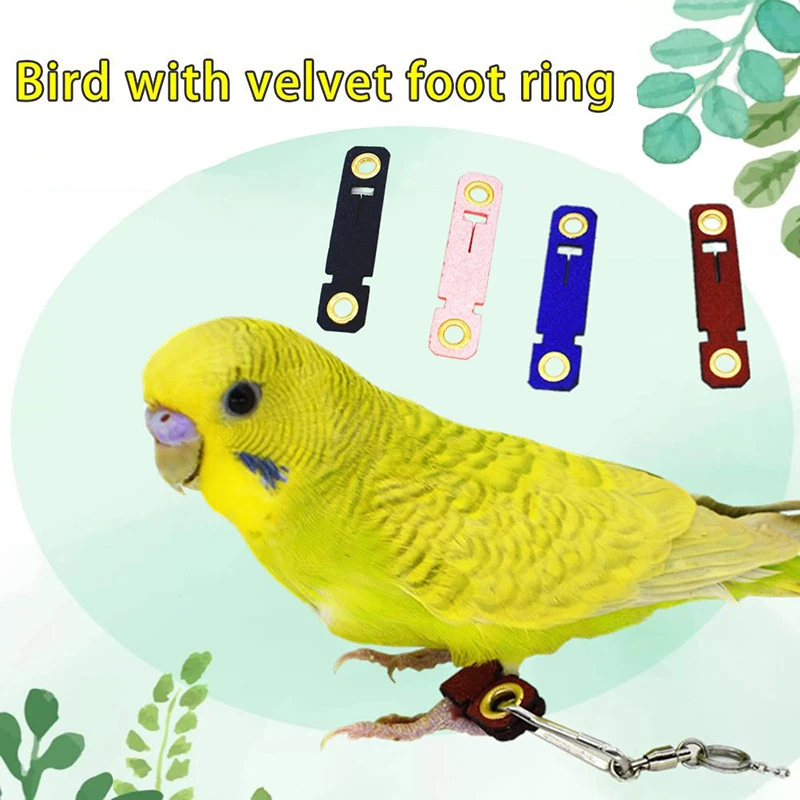 

7 Size 4Colors Suede Parrot Leg Ring With Cable Tie Comfortable Light No Hurting Bird Ankle Foot Chain Buckle Accessory