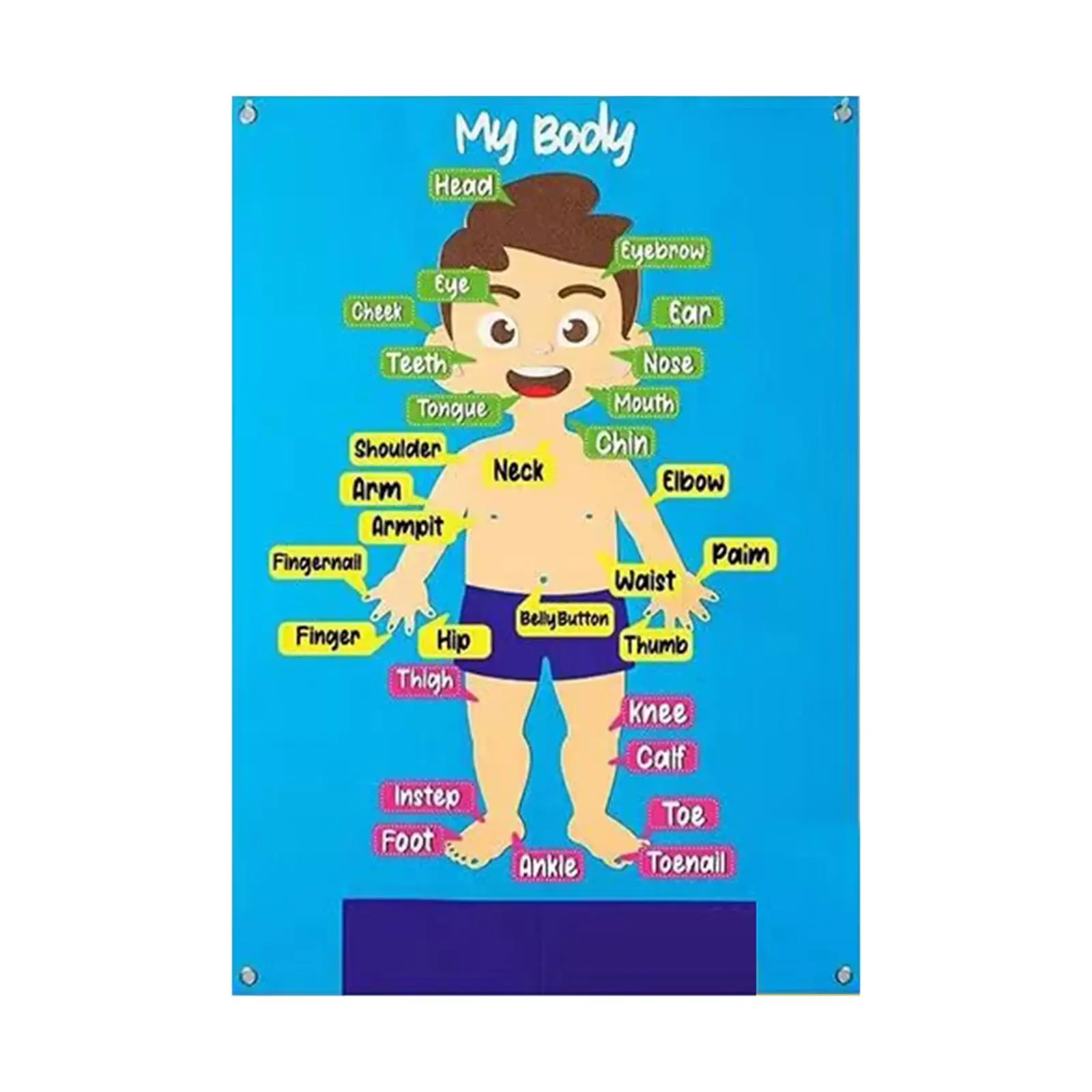 

Montessori Body Parts Felt Board Human Body Hanging Felt board Set for Preschool Bedrooms