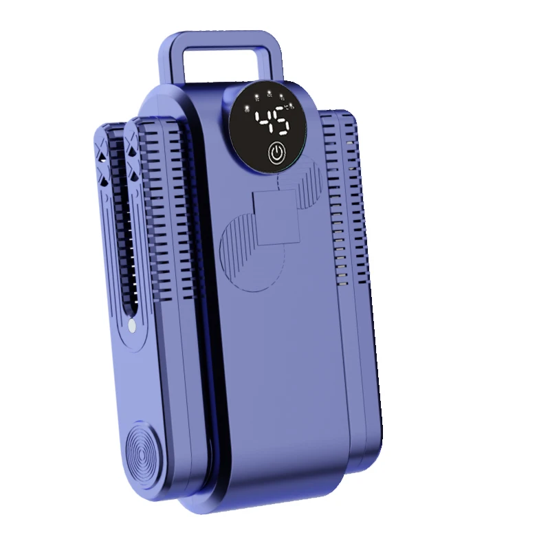 

Электрическая сушилка для обуви Raugee 220В