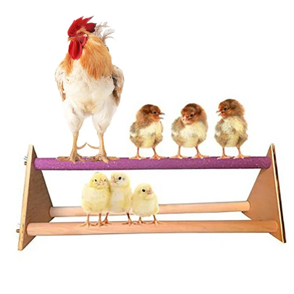 

Birds Feeder in Cage Habitat Natural Wood Chick Toy Toy Stand Trainning Chicken Stand Habitat Squirrel Obstacle Course Feeder