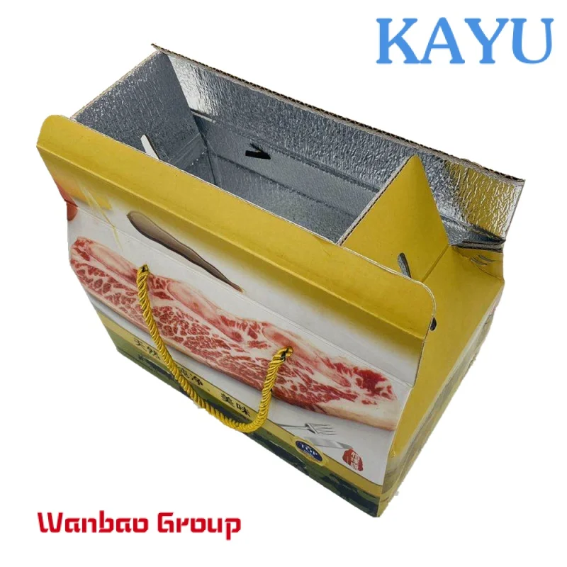 Eco friendly custom printing waterproof freezer frozen food beef meat corrugated paper packaging box with isolated foam insert