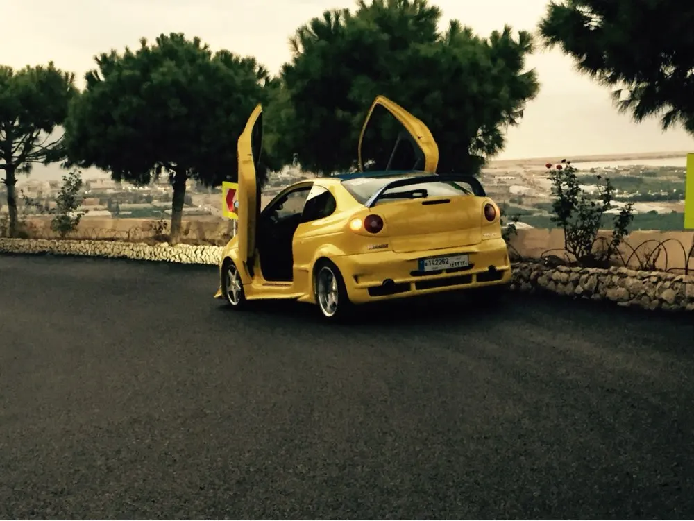 Авто дверная петля для Aristo