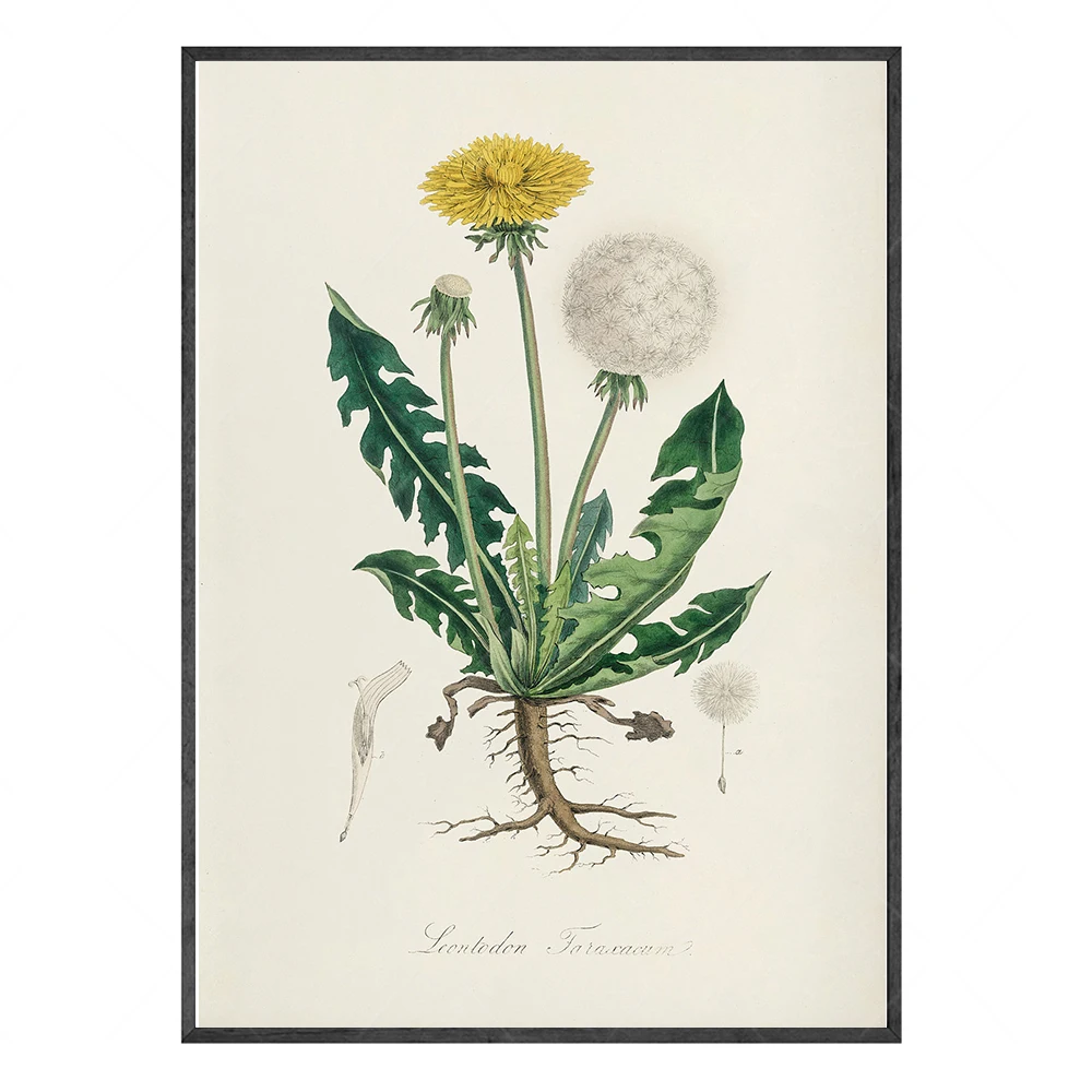 

Картины на холсте Angel Wall