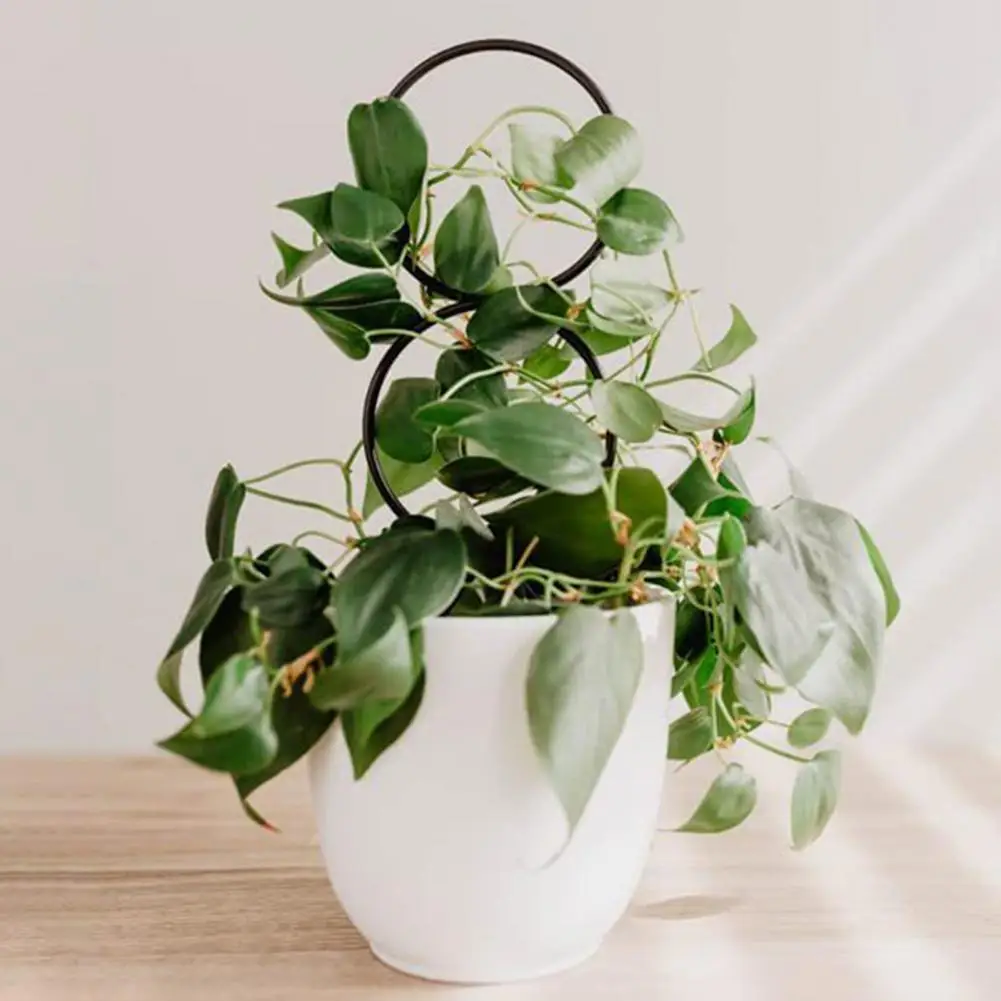

4Pcs Garden Plant Support Stake Stand Heart-shaped Round Vine Climbing Rack Flower Plant Trellis Support Frame Garden Decor