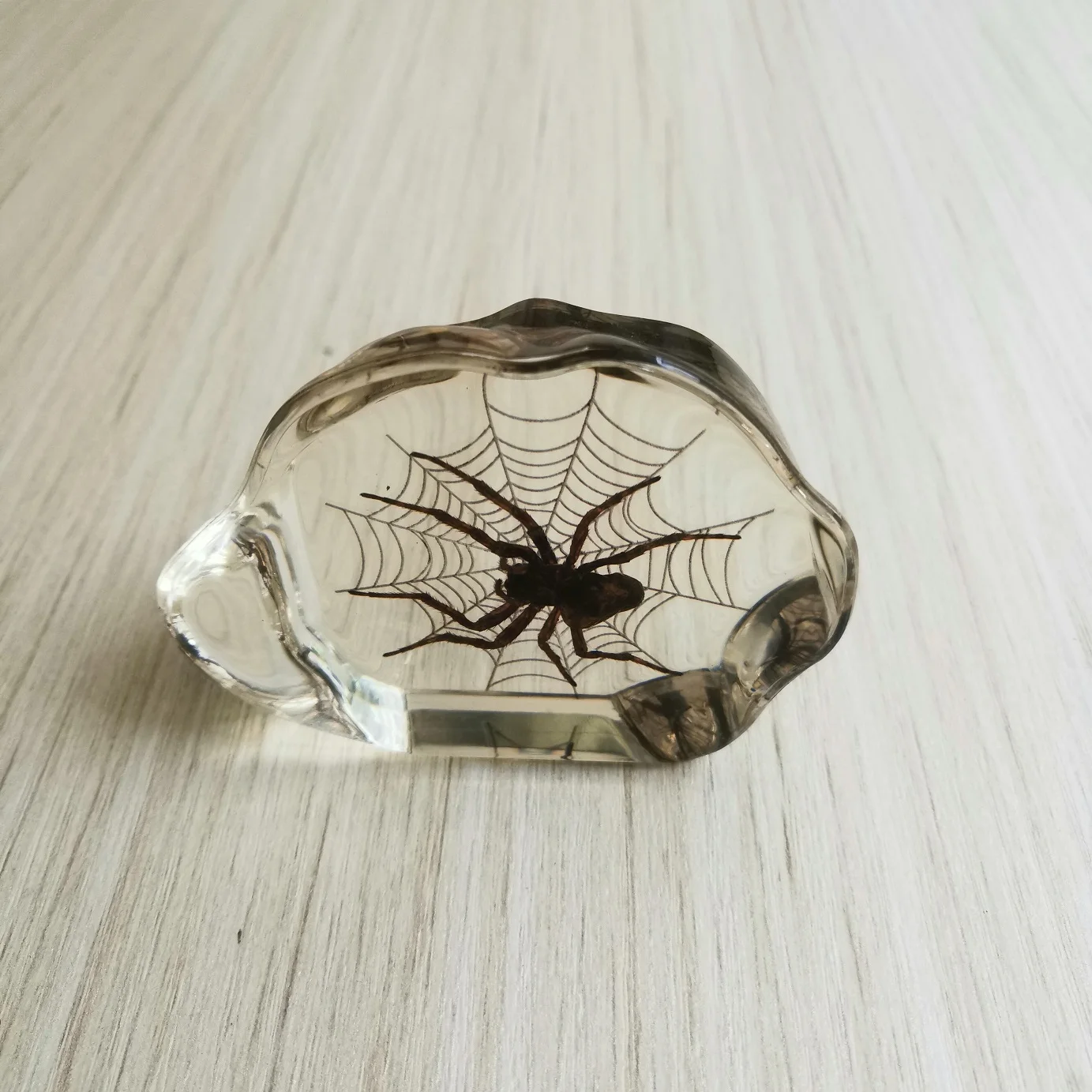 Янтарный образец насекомых эпоксидная смола пауки жуки модель скорпиона