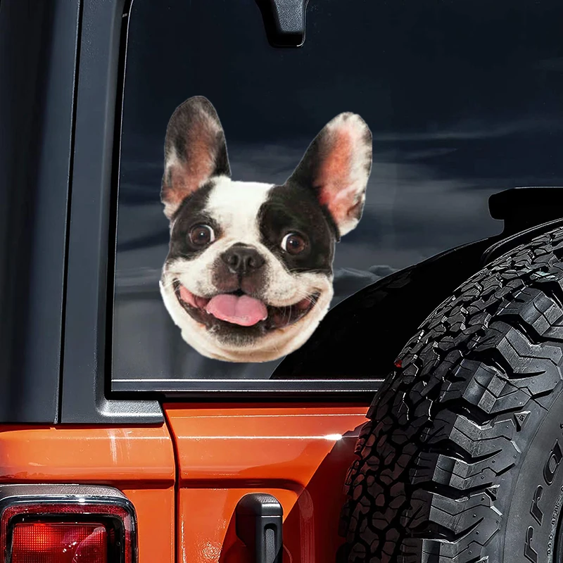 DK210 # 11x14 см французский бык собака автомобильные наклейки забавные креативные