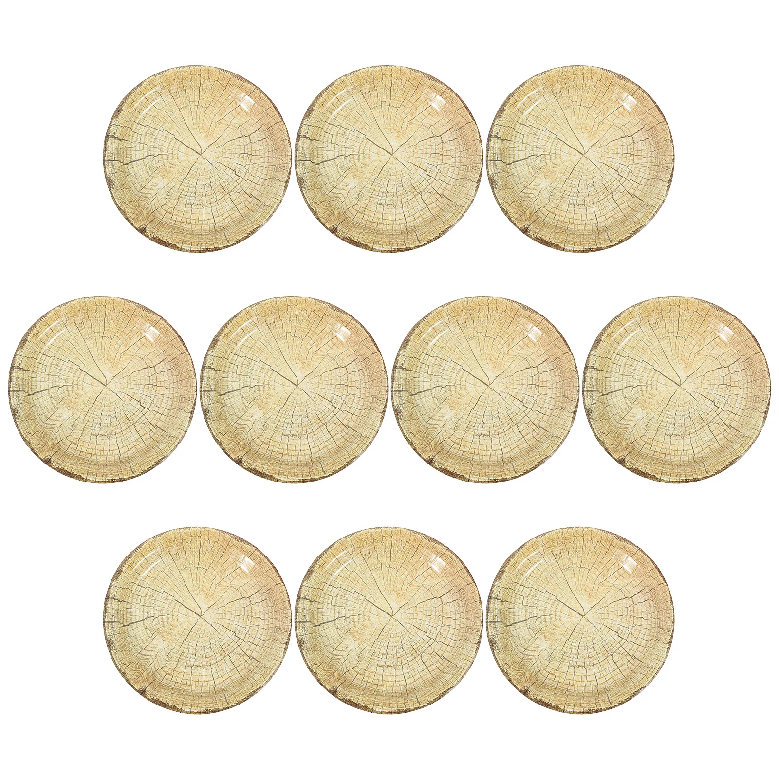 

10 Pcs Party Tableware Snacks Disposable Dinnerware Food Plates Venue Setting Props Appehinglaus Paper