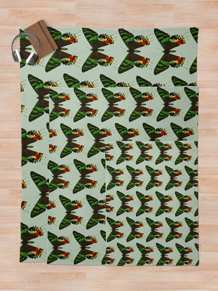 Мадагасканская молька заката - Кризиридия rhipheus винтажная мотылка плед роскошные