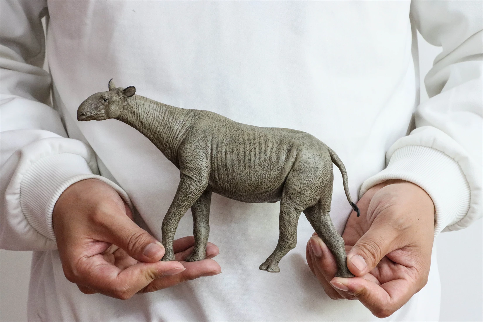 Фото Фигурка Eofauna Paraceratherium Grangeri в масштабе 1:35, из семейства Paraceratheriidae, гигантский прародинозавр, коллекционная модель для декорации сцен №5