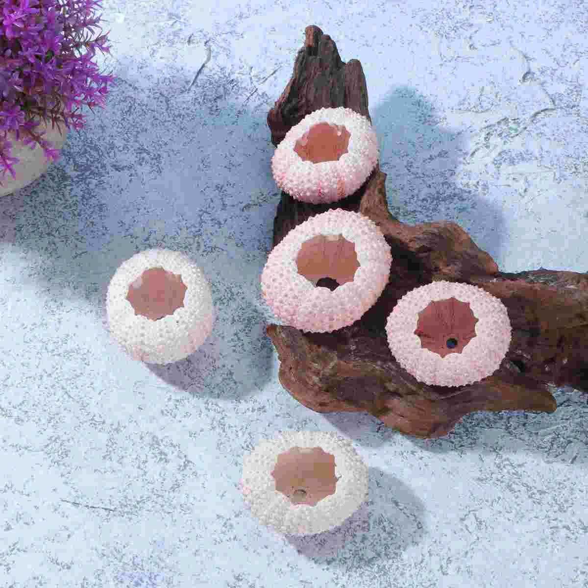 

Shells Sea Urchin Air Planting Natural Holder Tillandsia Craft Diy Pot Container Material Shell Hand Crafts Conch Holders