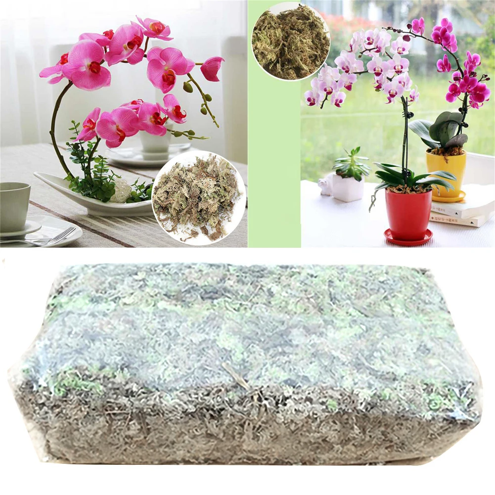 

12L Sphagnum Moss Moss Sphagnum Nutrition Organic Fertilizer For Orchid Phalaenopsis Musgo Sphagnum Flower Garden Supplies
