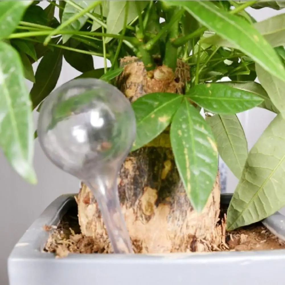 3/6/10 шт. лампочки для полива |