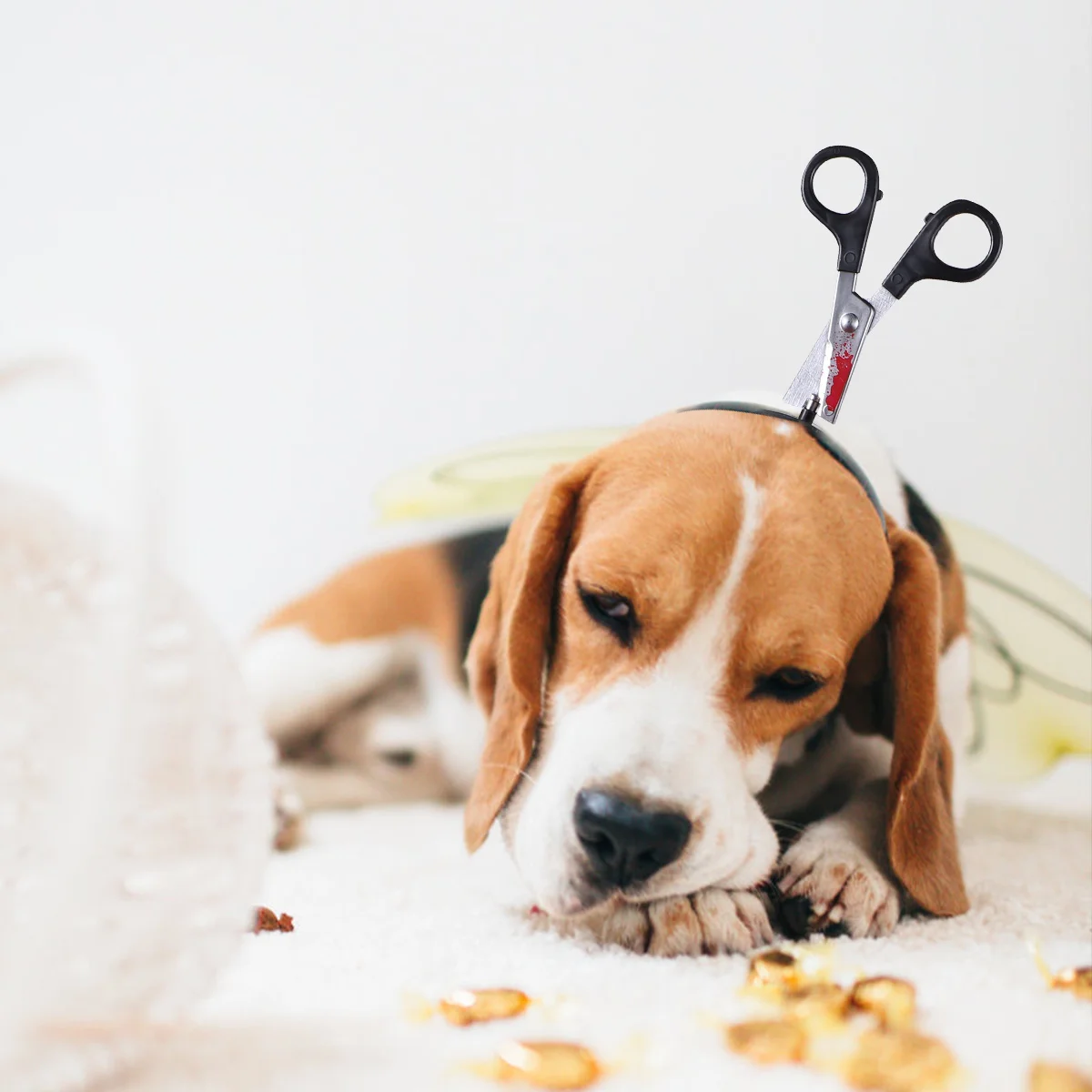 

Headwear Hat Hat Cat Hat Costume Cat Headband