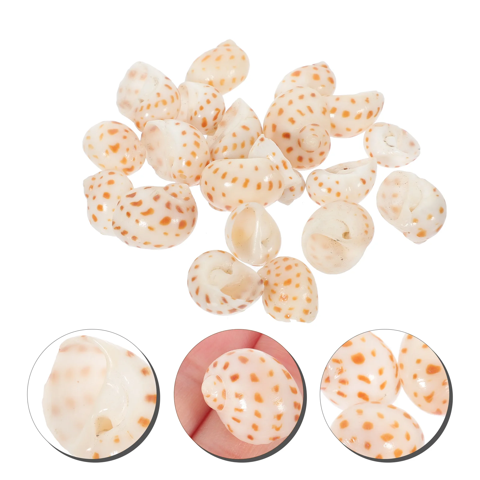 

20pcs DIY Sea Shell Conch Crafts Natural Sea Shells Conch Fish Tank Aquarium Decoration Hermit Crab Shells