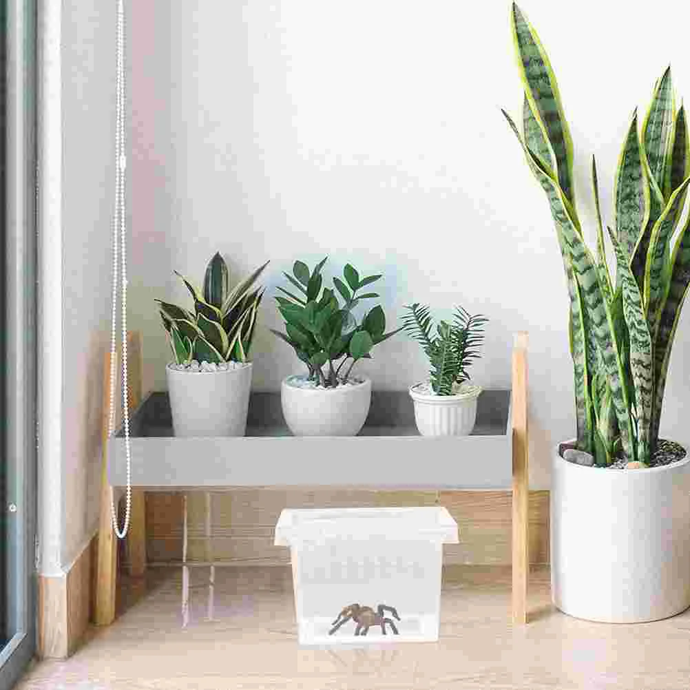 

10 Pcs Reptile Feeding Box Breeding Bins Reptisoil Transparent Reptiles Habitat Plastic Clear Containers Insect Terrarium