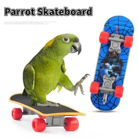 mini parrot skateboard scrub non slip toy bird sports training intelligence interactive education bird supplies pet accessories