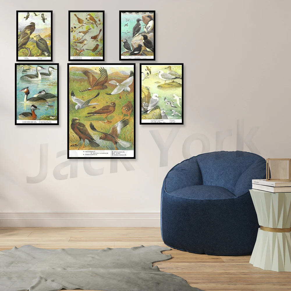 Хориер куриный болотный хориер птица добыча птицы в полете винтажный принт