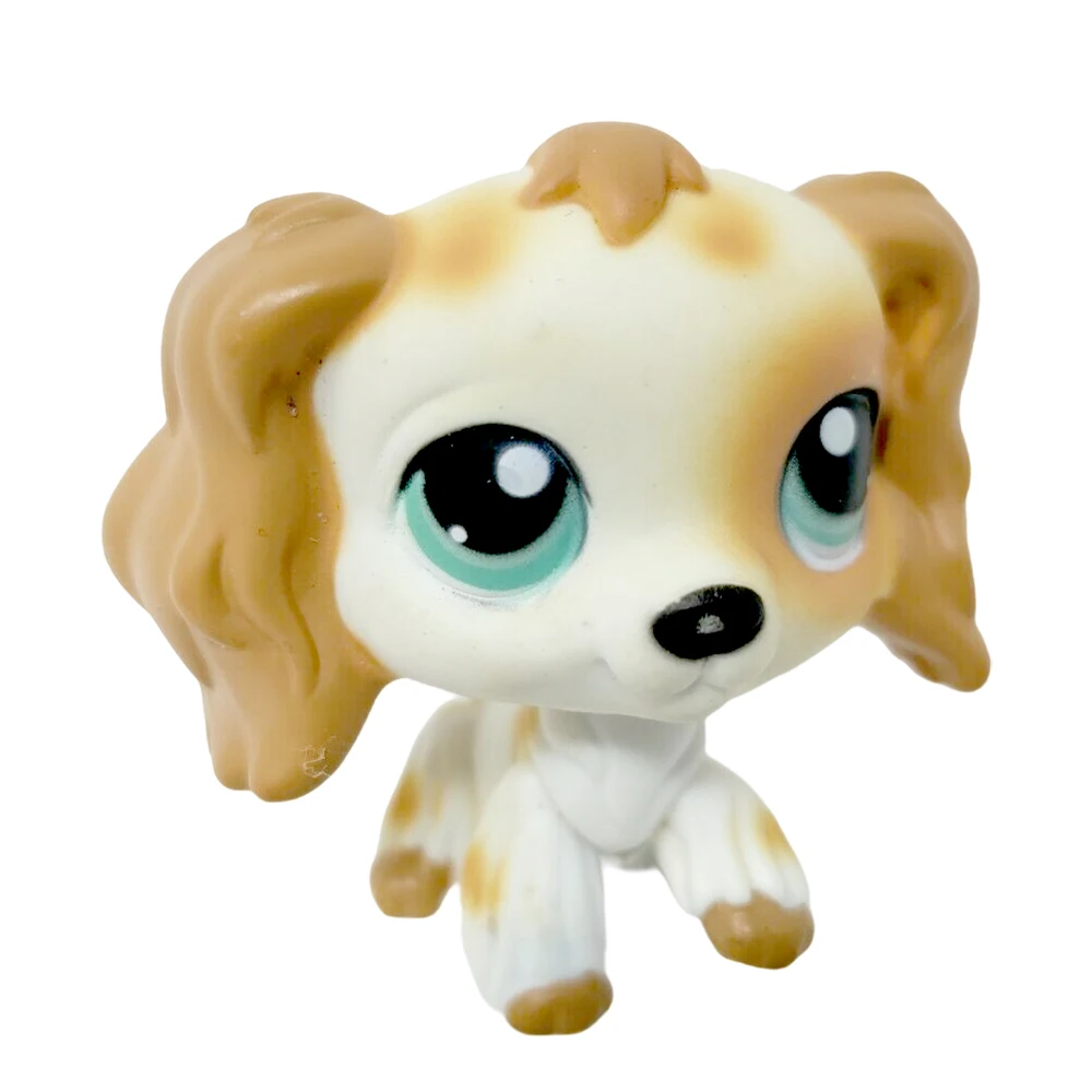 

Pet Shop White Brown Cocker spaniel Dog Blue Green Eyes lps #344