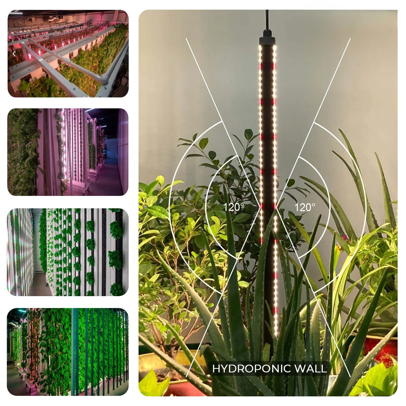 50 100 150 Watts Double Faced Bar Grow Lamp For Greenhouse And Farm