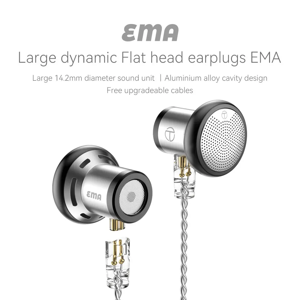 

TRN EMA Flat Head Plug Metal In Ear Hifi Wire Earphone 14.2mm Dynamic Driver Bass Earburd With Microphone Replaceable Cable