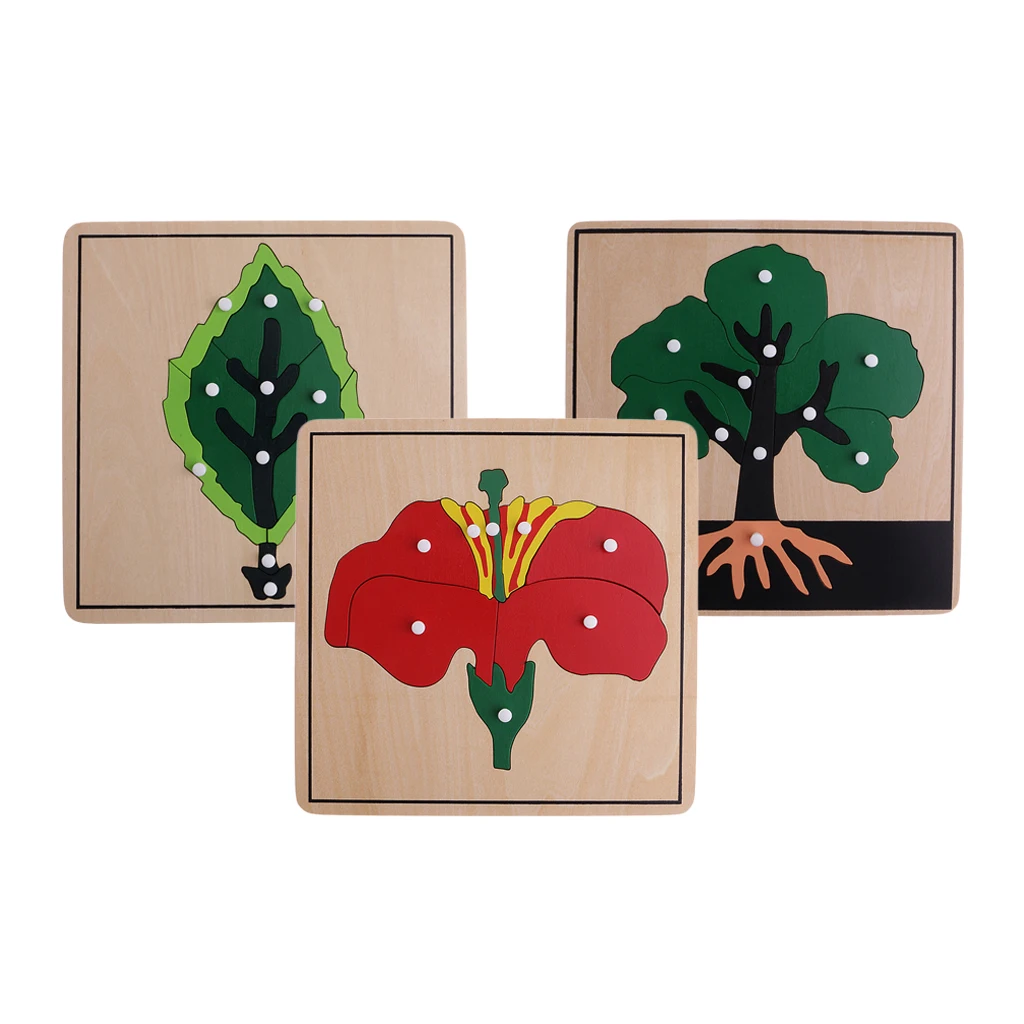 Montessori Botany Material - 3 Plant Shape Puzzles for Kids Educational Toys