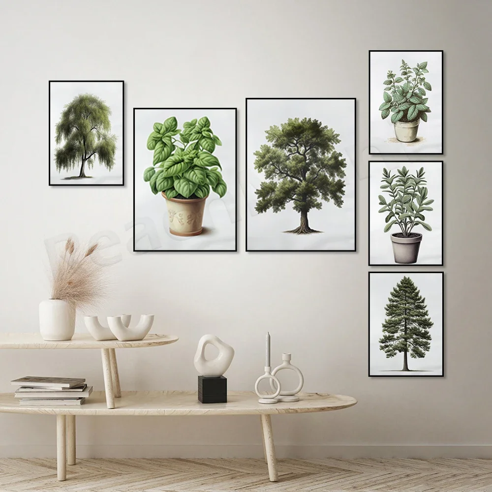 Ботанический плакат сосна дуб принт ивы кактус шалфей мята базилик алоэ вера