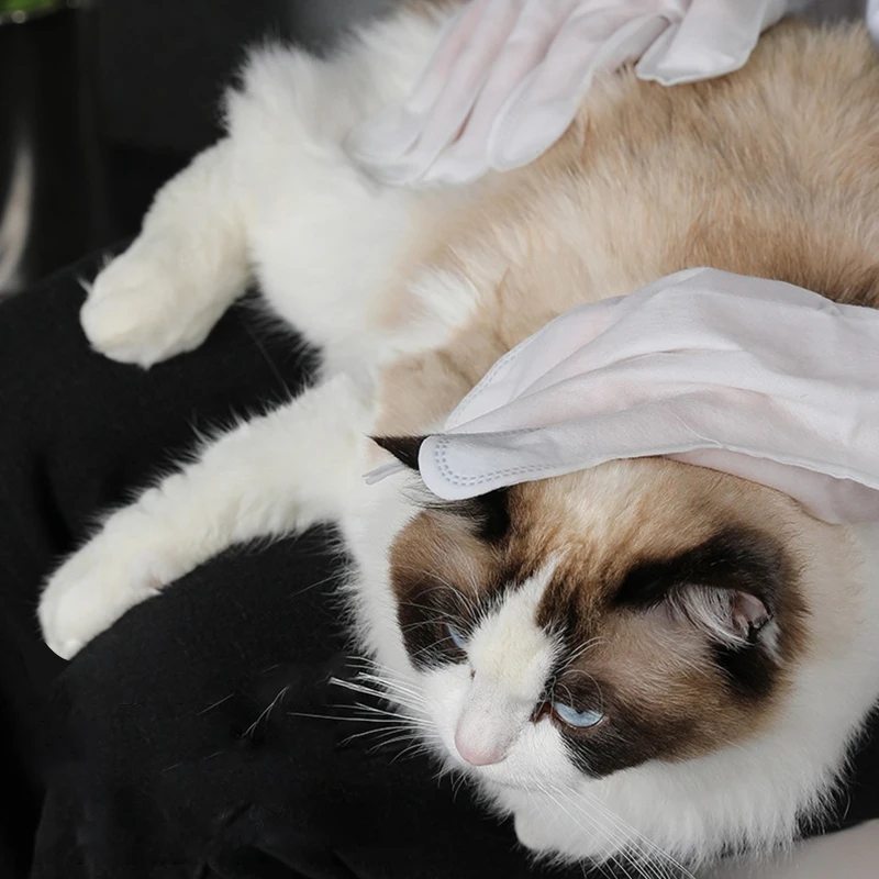 

K5DC 16Pcs Cleaning Wipes No Rinse Deodorizing Gloves for Dogs & Cats Gently Remove Dirt Odor for Eyes Ears Paws Face Body