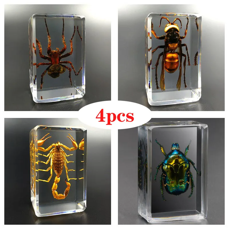 Фотообразец скорпион паук васп Жук прозрачные полимерные Идеи маленький