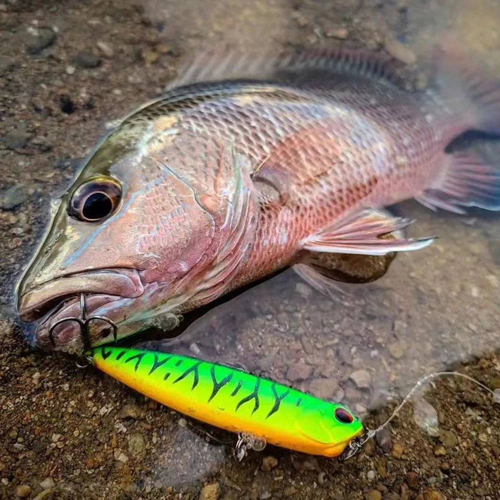 6 5 см г рыболовные приманки с рисунком верхняя вода плавающие для прогулок