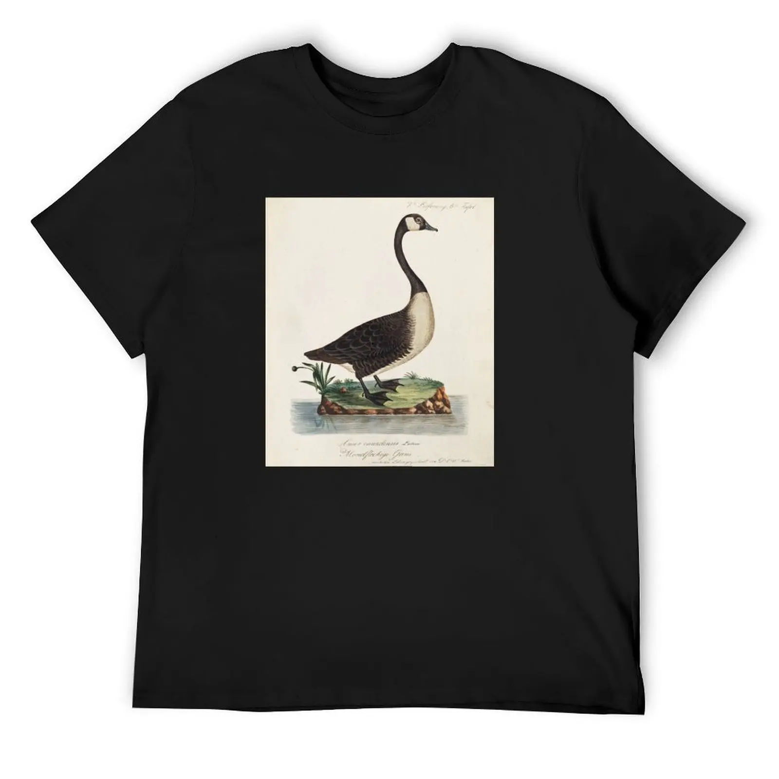 Футболка Canada Goose (Branta Canadensis) одежда на день Святого Валентина лето 2025 мужские