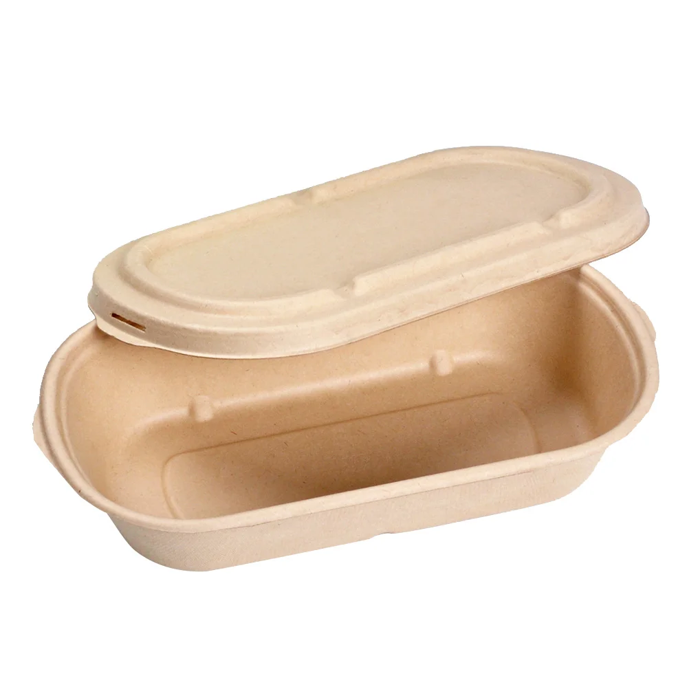 

Box Meal Containers Paper Container Take Disposable Bento Lunch Microwave Prep Storage Safe Takeaway Salad Bagasse Out Boxes