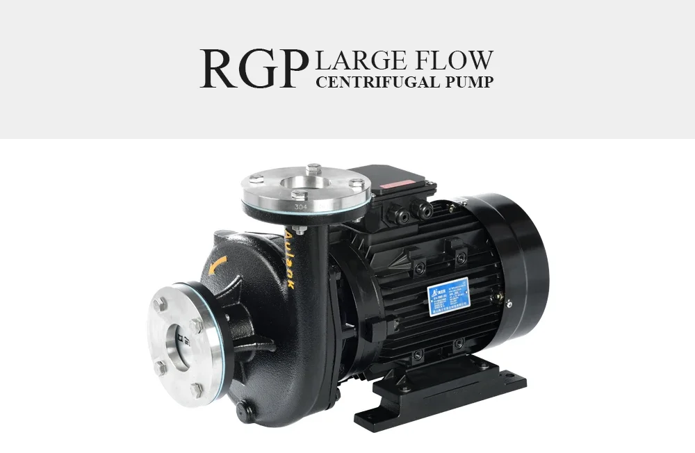 RGP SUS304 высокотемпературный центробежный водяной насос из нержавеющей стали
