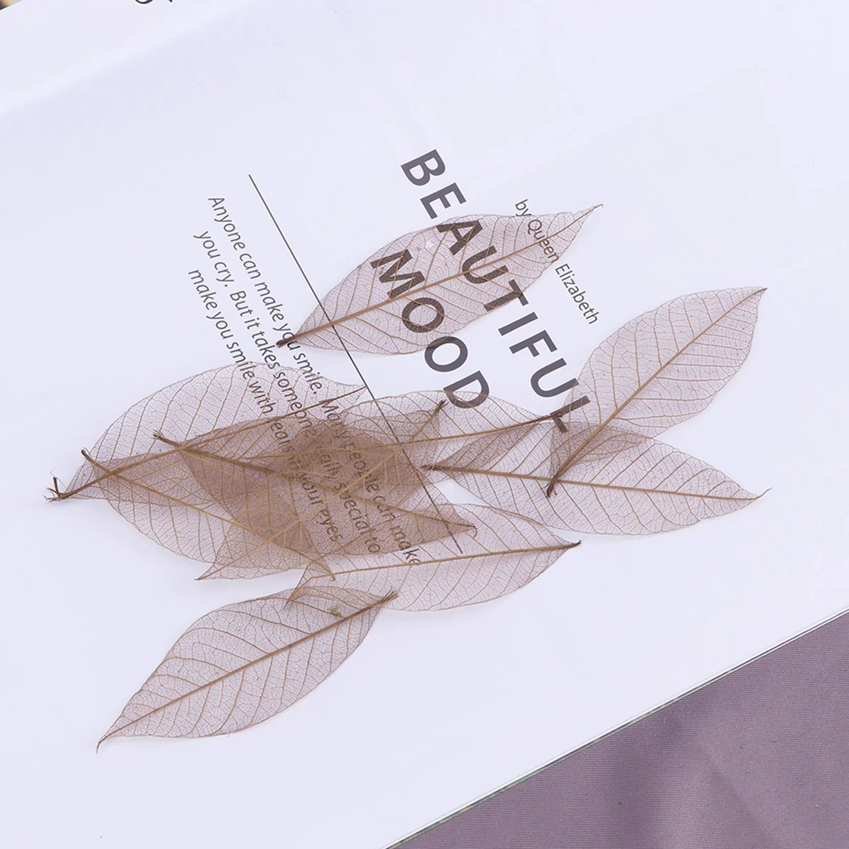 

Leaves Dried Leaf Natural Rubber Artificial Crafts Tree Flowers Flower Craft Specimen Diy Bookmark Wall Pressed Scrapbooking