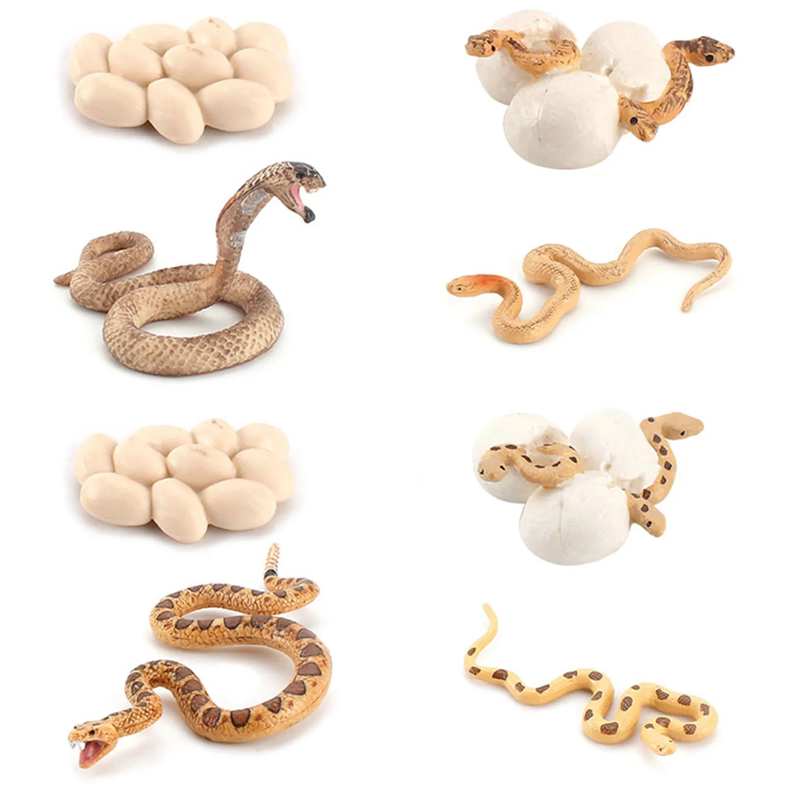 

Snake Model Toy Biological Model Toy Snake Model Figure Children Learning Teaching Aids Including Snake Eggs Hatching Snake Cubs