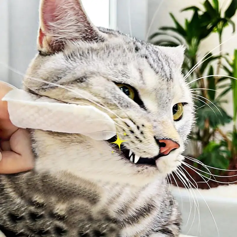 do czyszczenia zębów psa Chusteczki Skuteczne nakładki Zestaw Przenośna rękawica