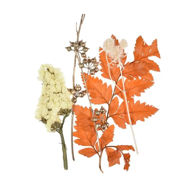 

Dried Flowers For Resin Natural Pressed Chrysanthemum Daisy Flowers Multiple Colorful Pressed Flowers For Craft Resin Jewelry
