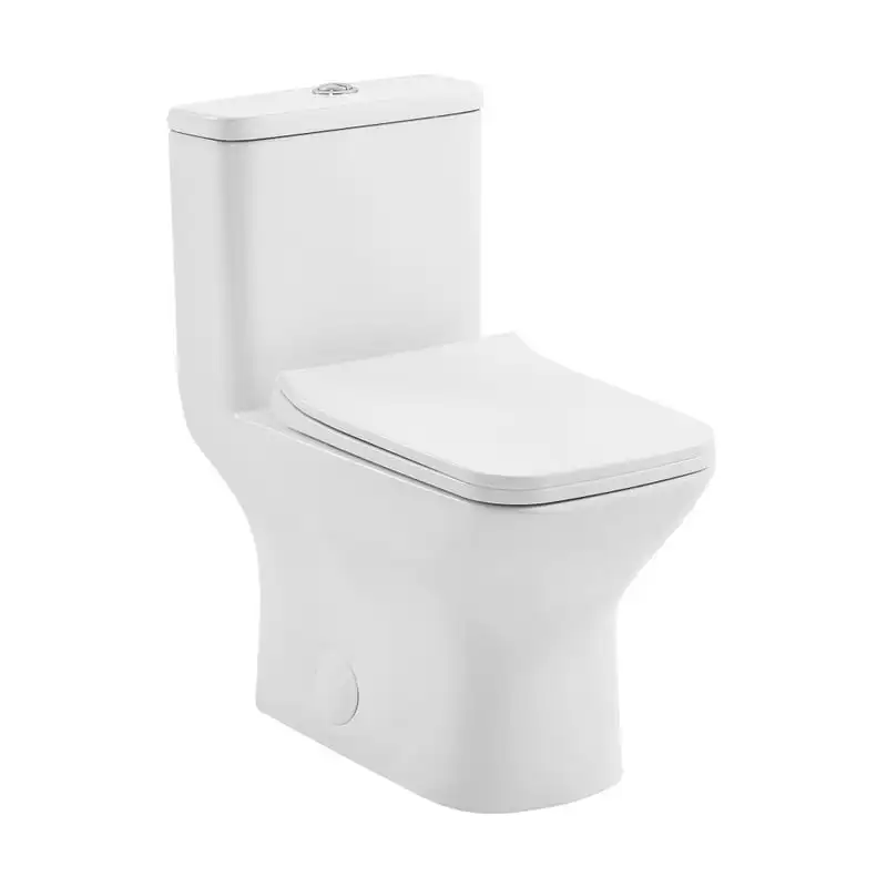 

One-Piece Elongated Toilet -Flush 1.1/1.6 gpf with 10" Rough-In