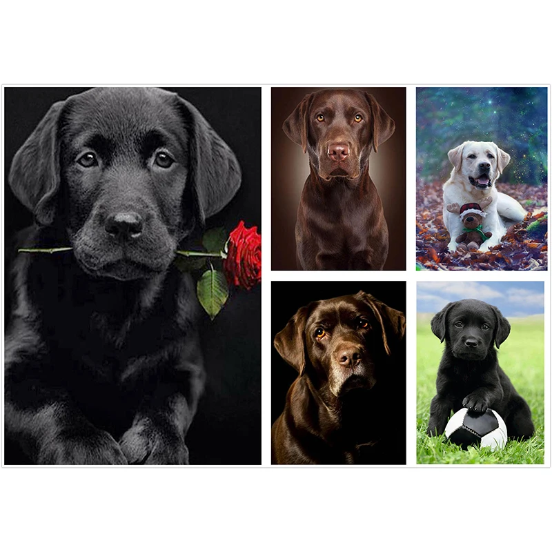 

Алмазная 5D картина «сделай сам», полная вышивка, квадратная/круглая животная, лабрадор, собака и футбол, мозаика, украшение для дома