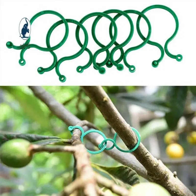 

Buckle Hook Wall Self-adhesive Plant Climbing Plant Wall Climbing Vine Clips Plastic Fastener Tied Garden Vine Strapping Clips