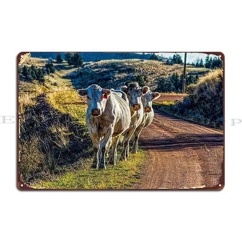 Три Cowmigos Ashwood металлические знаки гостиная ржавая персонализированный кинотеатр