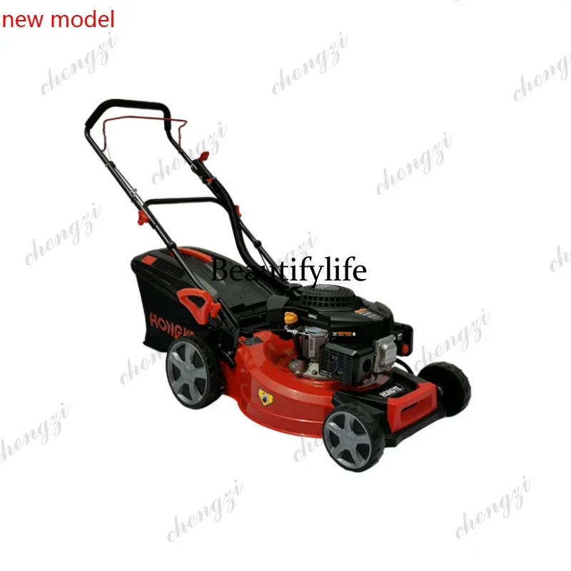 Фото Аккумуляторная газонокосилка N138 40В, литиевая, для сада №2