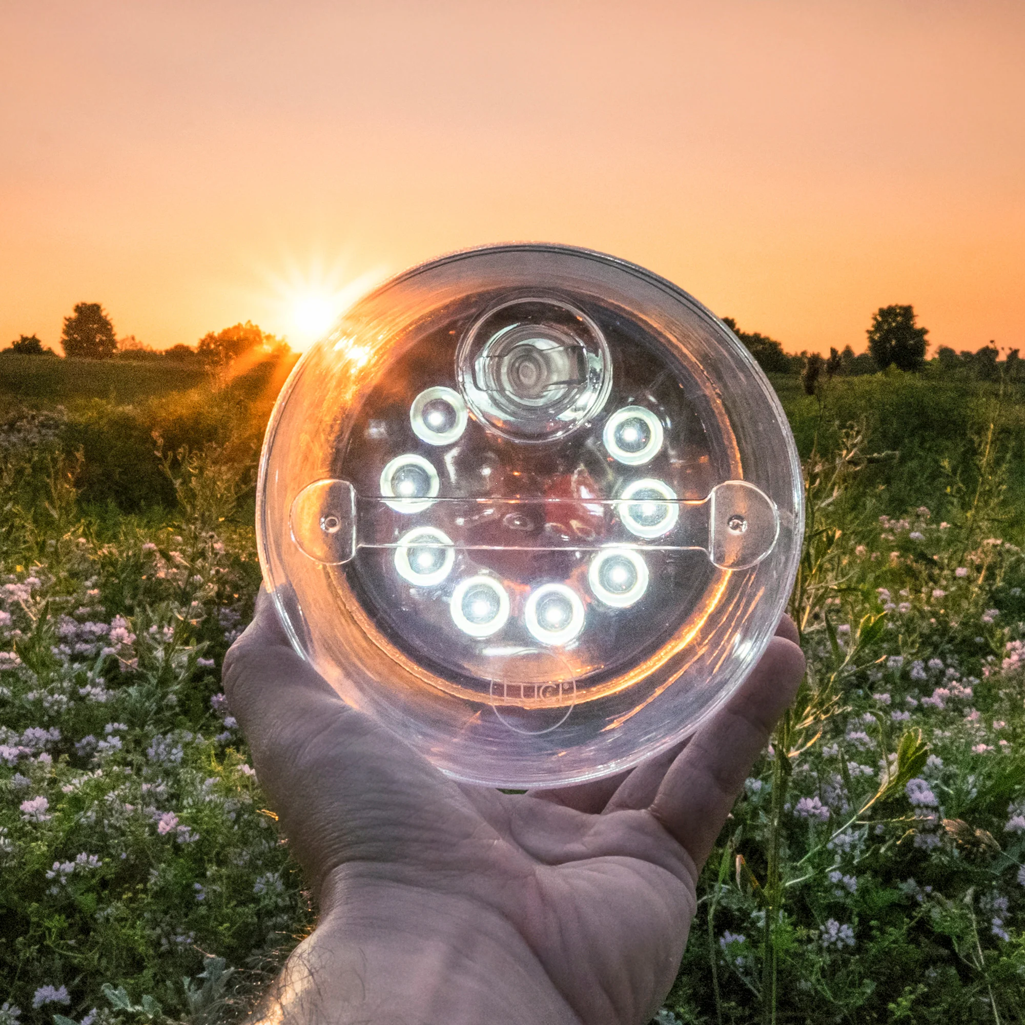 

Luci Original Solar Inflatable Lantern
