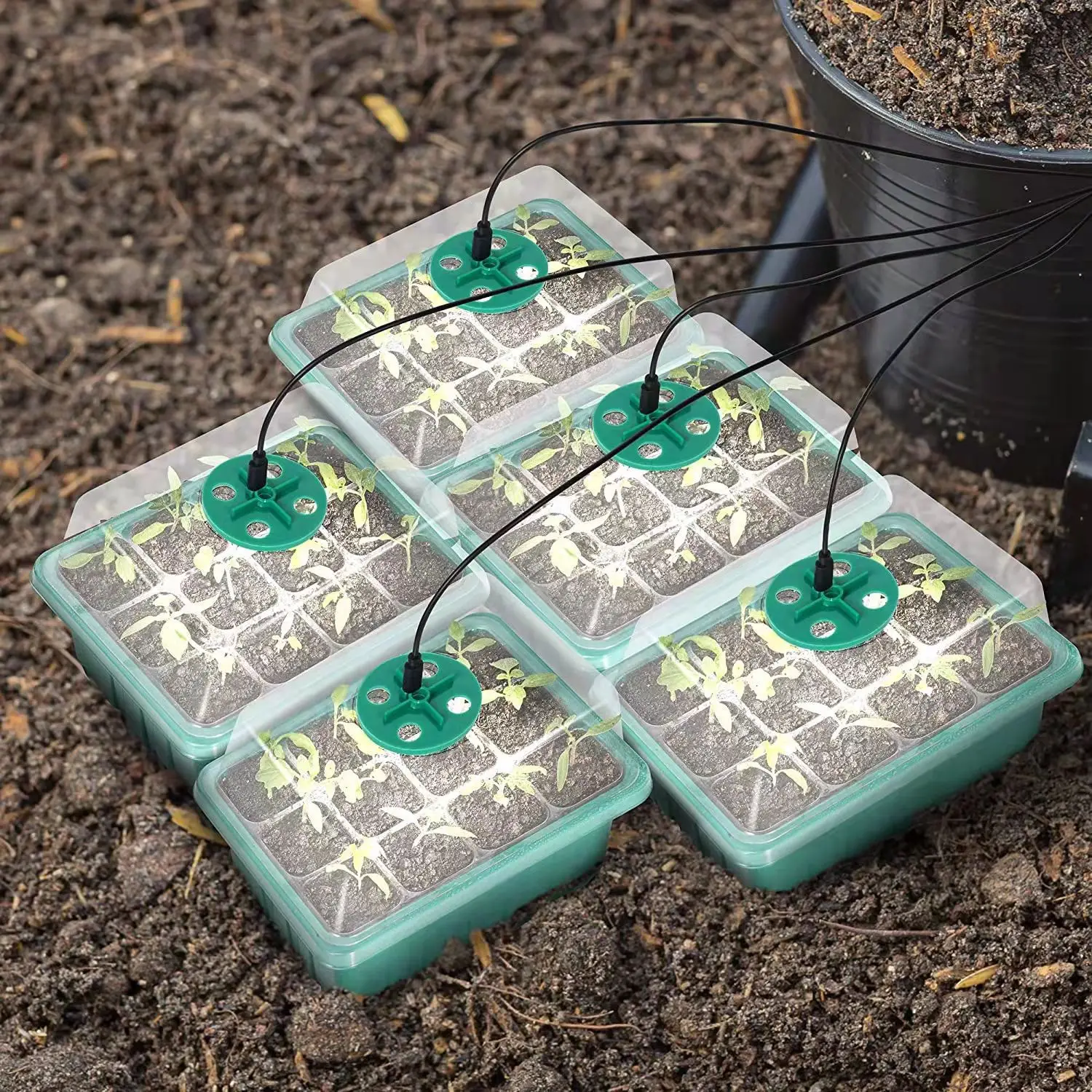 

2022 12 Hole Seedling Trays Seed Starter Starter Plant Flower Grow Box Propagation For Gardening Grow Starting Germination Box