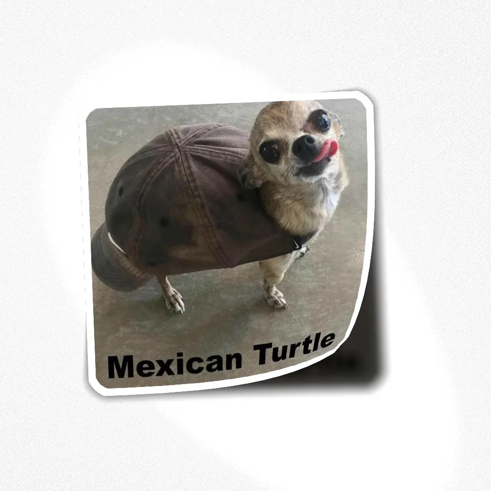 

Наклейка с собакой и мемом 032, наклейка для декора ноутбука, спальни, автомобиля, милое мультяшное искусство, модный общественный чемодан