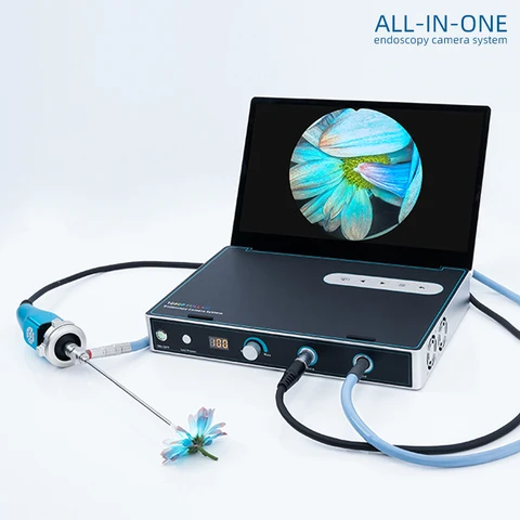 Жалаңаш Марина Александрованы іздеңіз