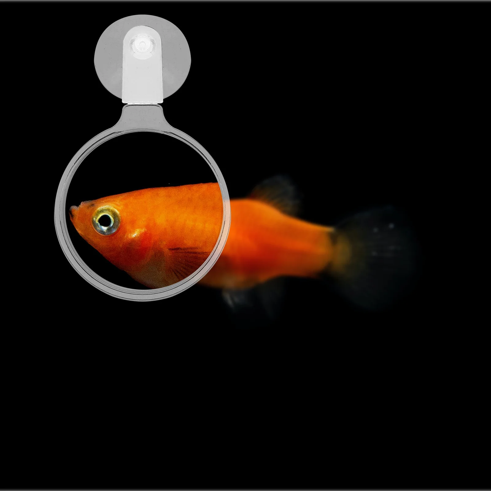 Увеличительное стекло для аквариума зеркало акриловая лупа Бетта растение