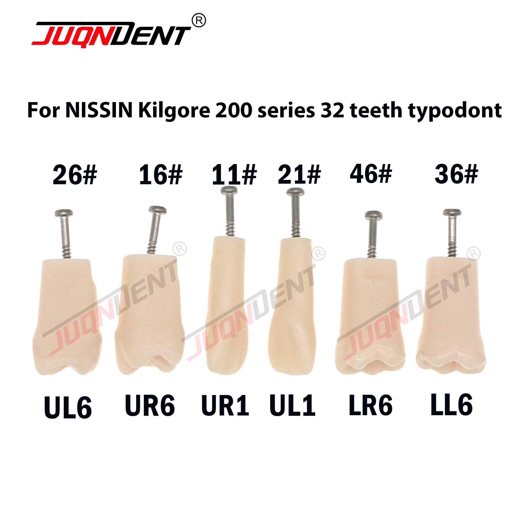 Модель зуба модель стоматологического обучения стоматологические запасные