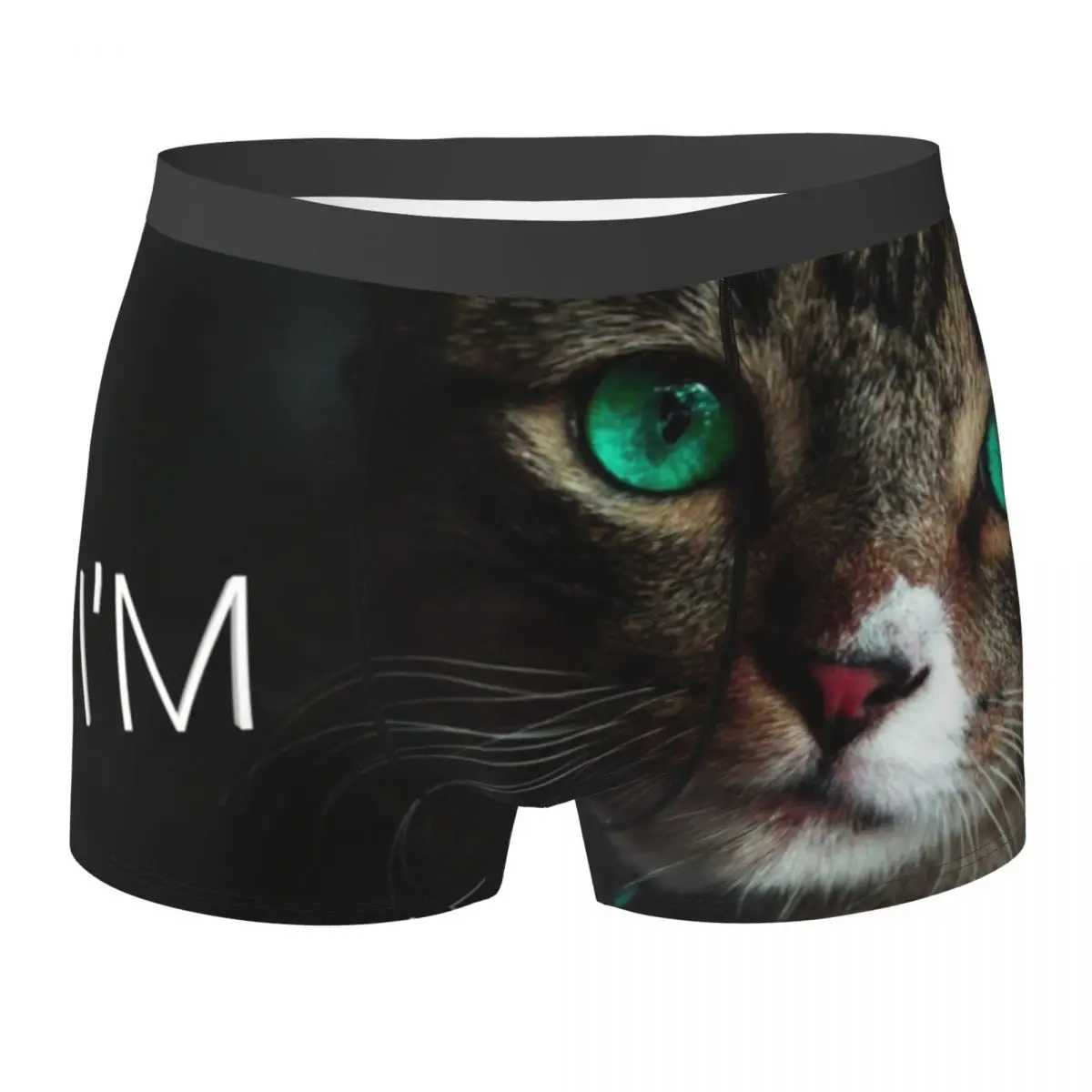 

Beautiful Crazy Cat With Green Eyes Underwear amazing sad Male Boxer Brief Stretch Trunk High Quality Sublimation Panties
