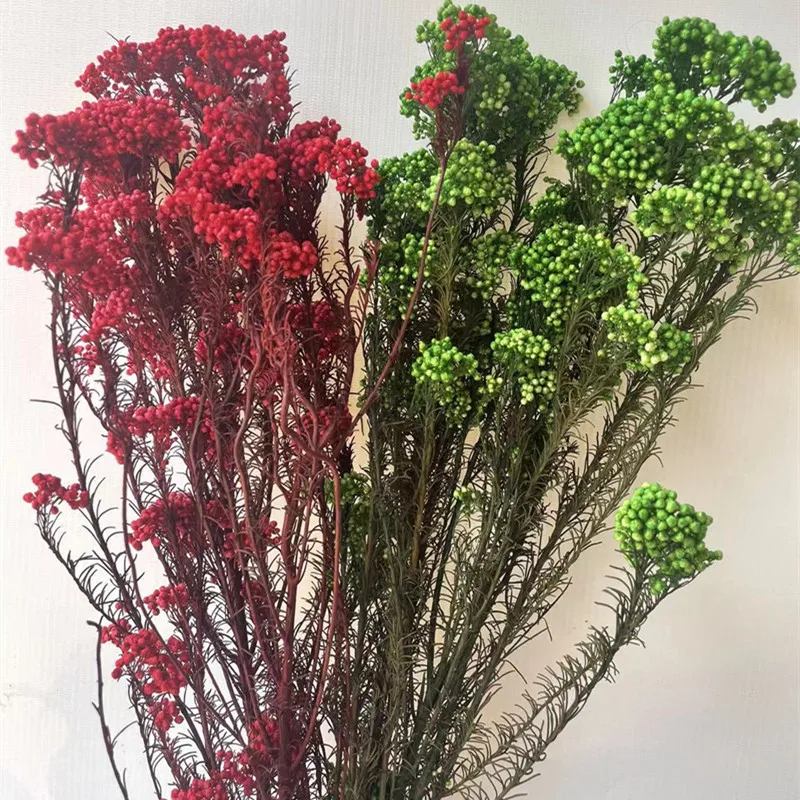 

50g Natural Millet Fruit Dried Flower Christmas Decorations For Home 2022Wedding Gift For Guest Boho Home Decor Halloween